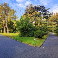 Верхний парк. :: Виктор Мухин Верхний парк. :: Виктор Мухин