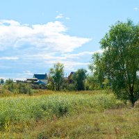 Сибирская глубинка. Домики в деревне :: Дмитрий Конев