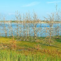 Озера, реки и водоемы Алтая и Алтайского края :: Дмитрий Конев