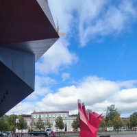 Калининградские котики. :: Ольга 