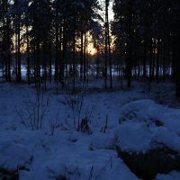 Короткие осенние дни :: Ольга 