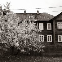 Фотография :: Денис Безногов