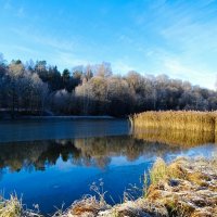 Смоленская область в середине ноября. :: Милешкин Владимир Алексеевич 