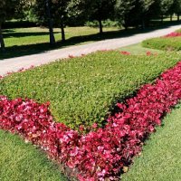 Осень. :: Владимир Драгунский Осень. :: Владимир Драгунский