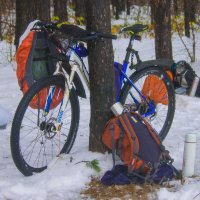 Мой город - Первый Снег :: Владимир Максимов