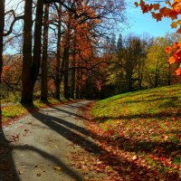 Солнечное утро :: Юрий. Шмаков Солнечное утро :: Юрий. Шмаков
