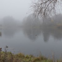 ** :: Владимир Безбородов