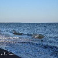 Природа Крыма :: Amazing Cosmea