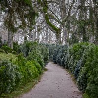 Tallinn, Fotograaf Arkadi Baranov, FEP, Estonia :: Аркадий Баранов Arkadi Baranov Tallinn, Fotograaf Arkadi Baranov, FEP, Estonia :: Аркадий Баранов Arkadi Baranov