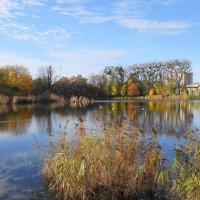 Ноябрьский пейзаж :: Рита Симонова