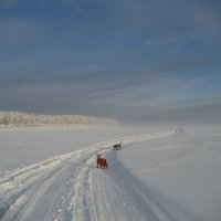 Прогулки :: Anna Ivanova