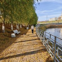 Ростовские зарисовки :: Александр Гапоненко