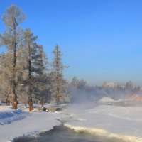Холодное утро... :: владимир 