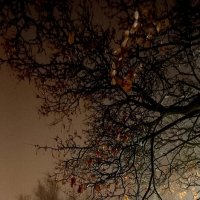 Ночной туман :: Tina Kott