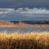 Поздняя осень. :: Андрей Дурапов
