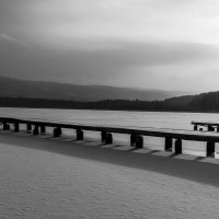 Ноябрь съел все краски. :: Вадим Басов