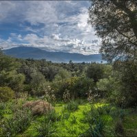 Турецкий мотив :: **** vedin