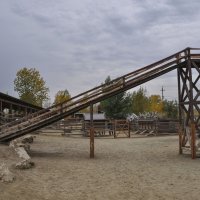 Горка для козлят в парке "Белый колодец" :: Татьяна Машошина Горка для козлят в парке "Белый колодец" :: Татьяна Машошина