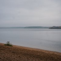 Река Волга, Конаковский бор :: fogmeadowww m