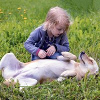 Доверие :: Алексей Окунеев