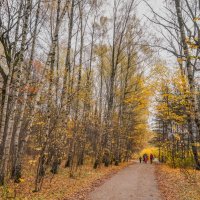 В осеннем парке... :: Владимир Жданов