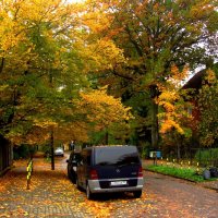 Улица Ленинградская :: Сергей Карачин