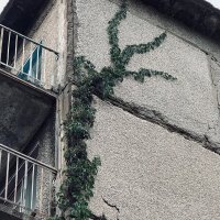 *** :: Яна Горбунова