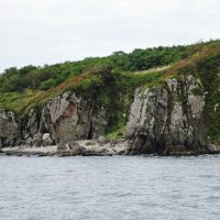 Полуостров Брюса :: Лидия Бусурина