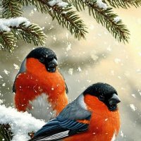 Ну, наконец-то...:) :: Валерий Кокорев