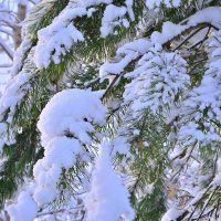 - :: Владимир Мигонькин - :: Владимир Мигонькин