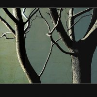 ****К*** :: Николай Семёнов