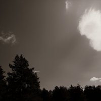 Фотография :: Денис Безногов Фотография :: Денис Безногов