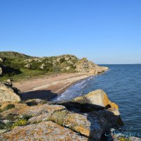 Природа Крыма :: Amazing Cosmea