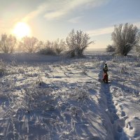 Красивый день :: Anna Ivanova