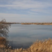 **** :: Виктор 