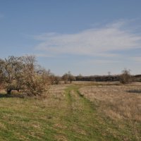 Мои дороги. :: Виктор Мои дороги. :: Виктор