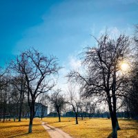 Редкий солнечный день в ноябре :: Игорь Чичиль