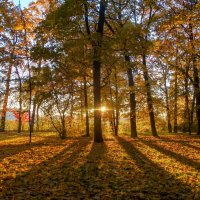 Свет и тени...... :: Юрий Цыплятников