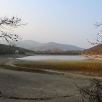 Обмелевшее кипарисовое озеро. :: Екатерина Леш