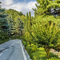 Дорога к морю :: валерий 