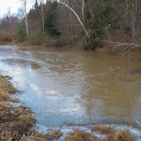 Осенний Сюжет :: юрий поляков