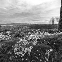 Осень. :: Николай 