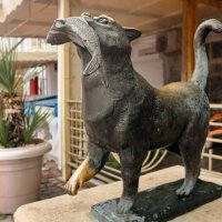 Котик Балаклавы :: skijumper Иванов