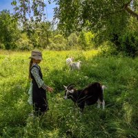 Юная пастушка :: Тамара Вебер