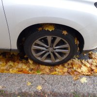 Осень припарковалась первой :: Серж Show