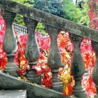 Осенний вальс :: Galina Solovova