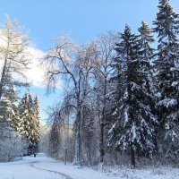 Зима :: Сапсан 