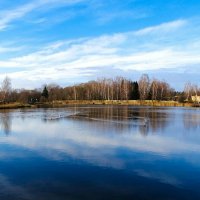 Природа Смоленщины в середине ноября (репортаж из поездок по области). :: Милешкин Владимир Алексеевич 