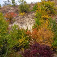 Осень :: Светлана Ищенко Осень :: Светлана Ищенко