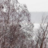 Мы забыли,  как  выглядит  солнышко :: Фотогруппа Весна